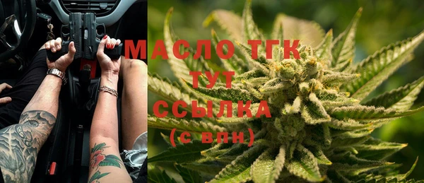 стаф Вязьма